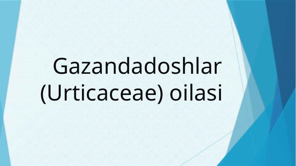 Gazandadoshlar (Urticaceae) oilasi