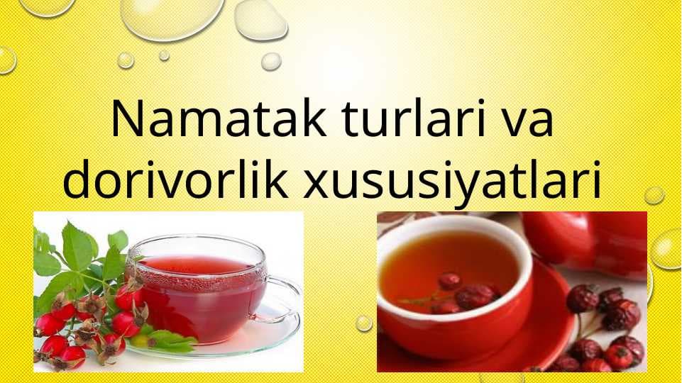 Namatak turlari va dorivorlik xususiyatlari