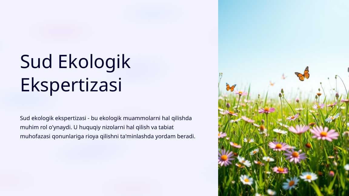 Sud Ekologik Ekspertizasi