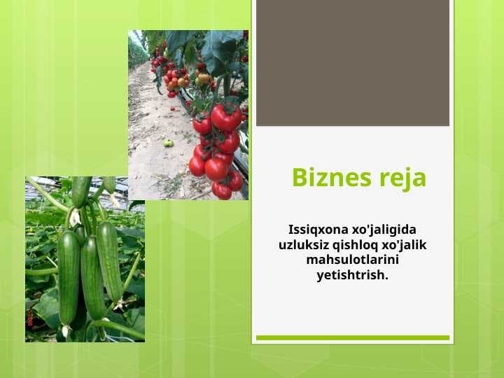 Issiqxona xo'jaligida uzluksiz qishloq xo'jalik mahsulotlarini yetishtirish