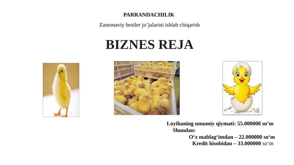 Zamonaviy broiler jo’jalarini ishlab chiqarish