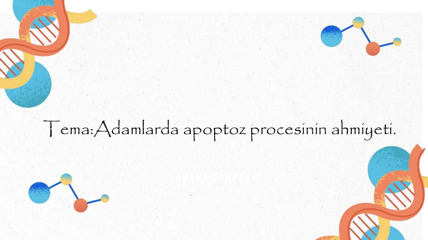 Adamlarda apoptoz processiniń ahmiyeti