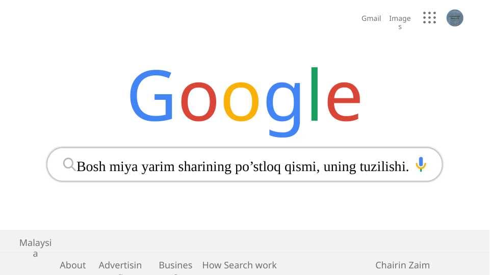 Bosh miya yarim sharining po’stloq qismi, uning tuzilishi.