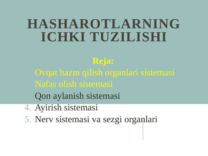 Hasharotlarning ichki tuzilishi