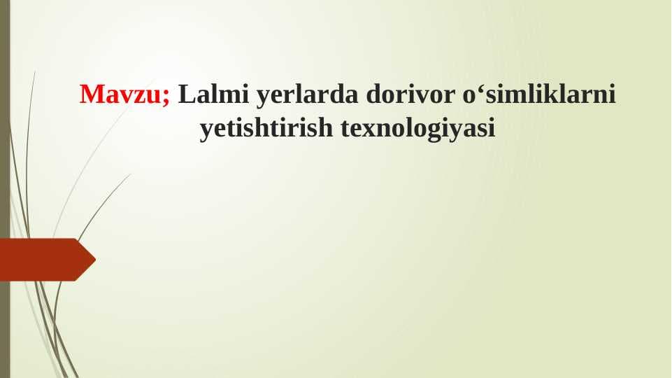 Lalmi yerlarda dorivor o‘simliklarni yetishtirish texnologiyasi