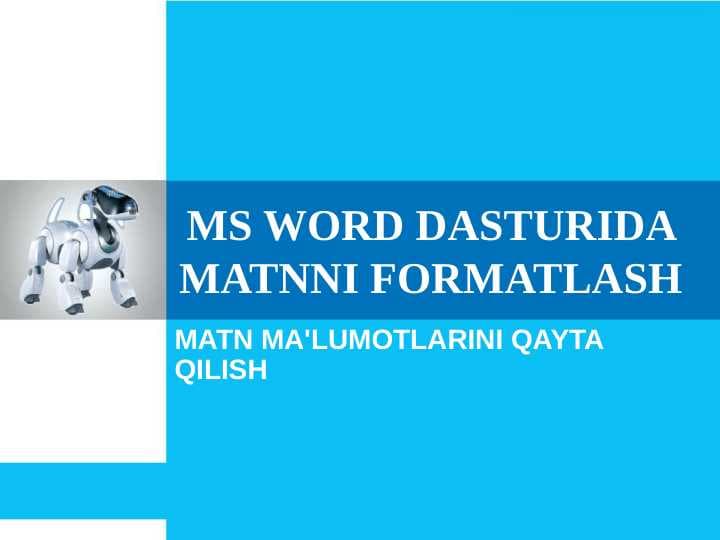 MS WORD DASTURIDA MATNNI FORMATLASH