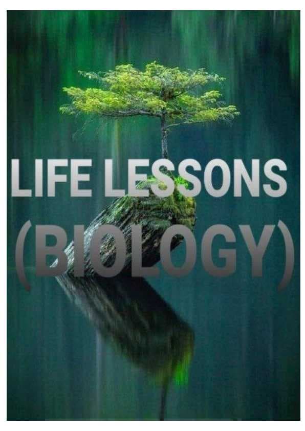 Biomasalalar 2   qism