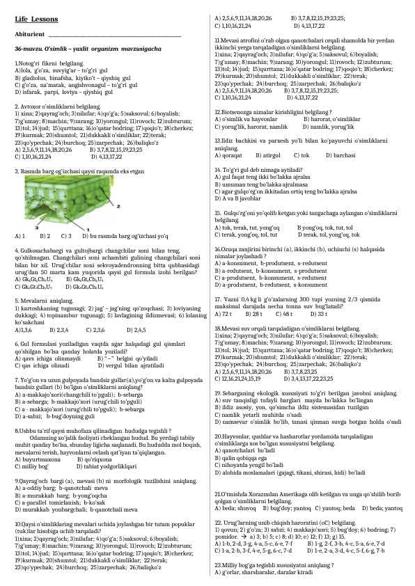 Life  Lessons. 6 sinf. 36 mavzu. O’simlik – yaxlit  organizm  mavzusigacha
