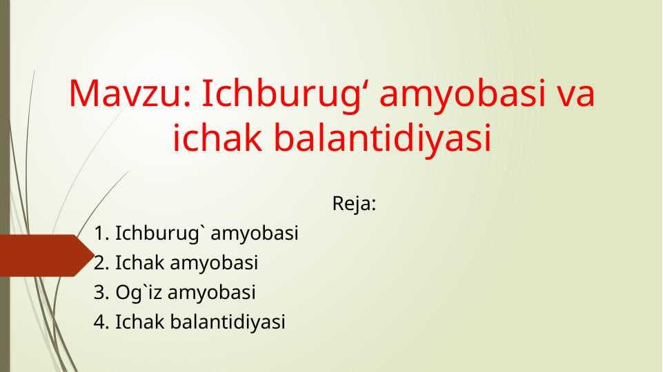 Ichburug‘ amyobasi va ichak balantidiyasi