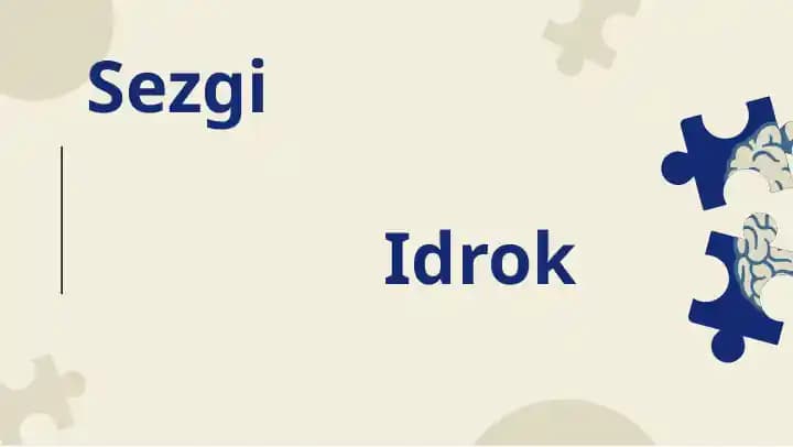 Sezgi