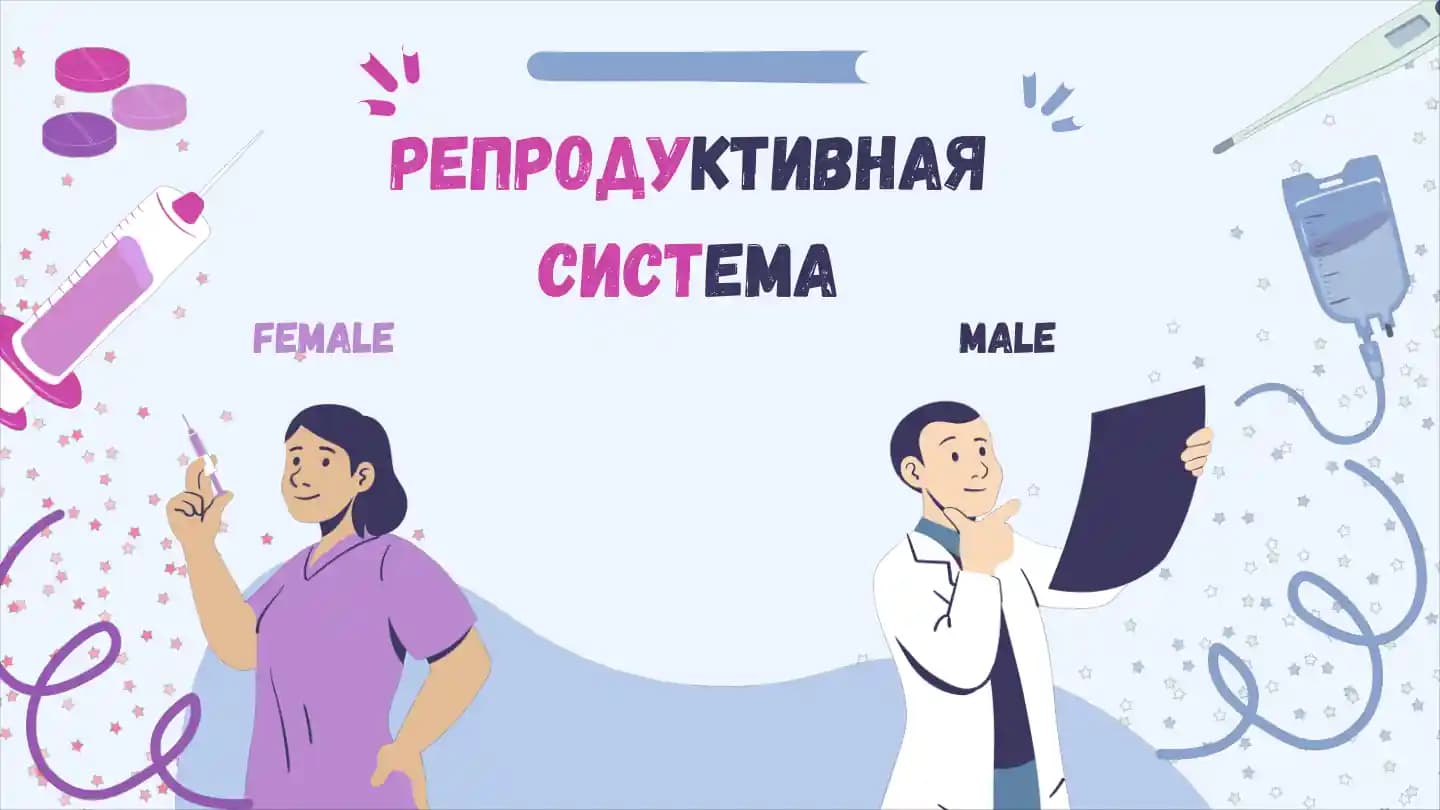 Репродуктивная система