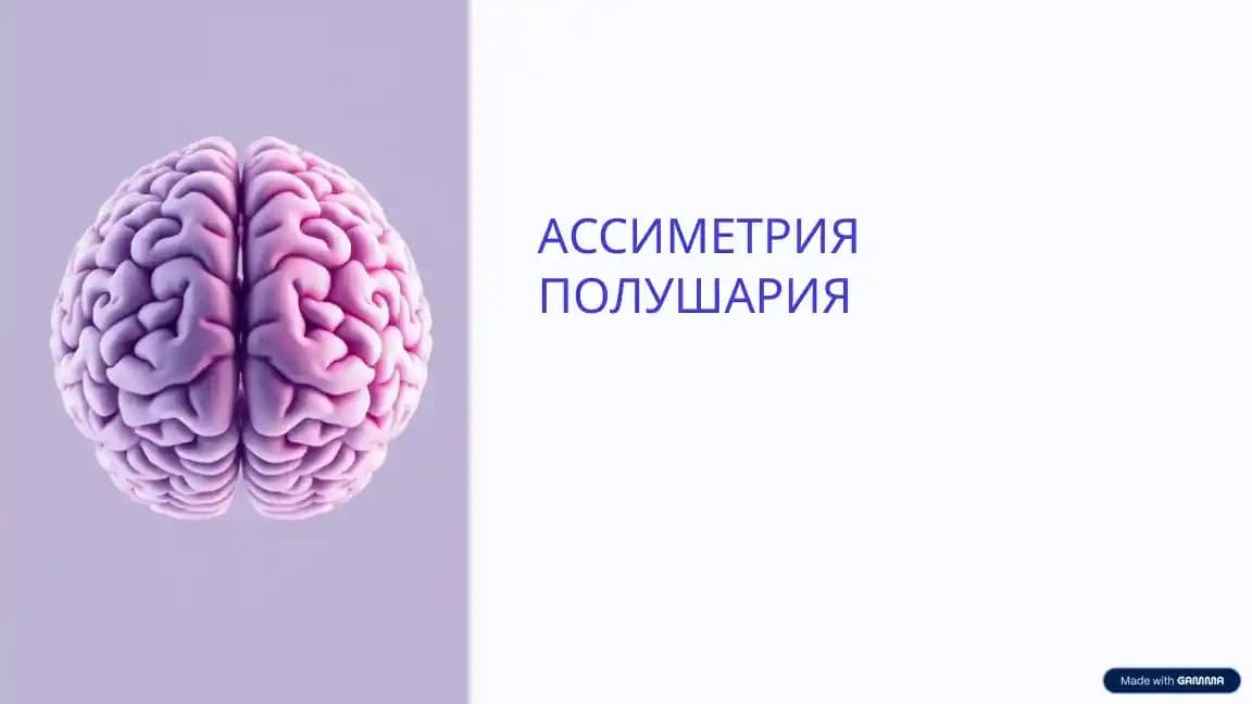 АССИМЕТРИЯ ПОЛУШАРИЯ