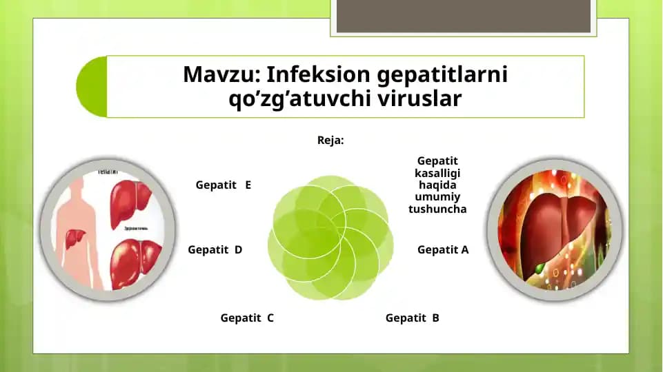 Infeksion gepatitlarni qo’zg’atuvchi viruslar