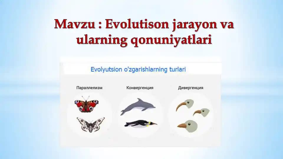 Jahon iqtisodiyotini globallashuv nazariyalarini vujudga kelish va rivojlanishiga ta’sir etuvchi asosiy omillar