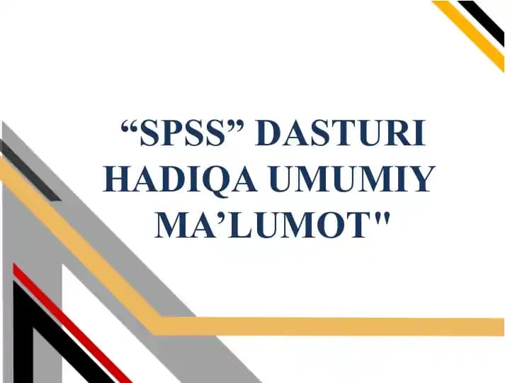 SPSS dasturi