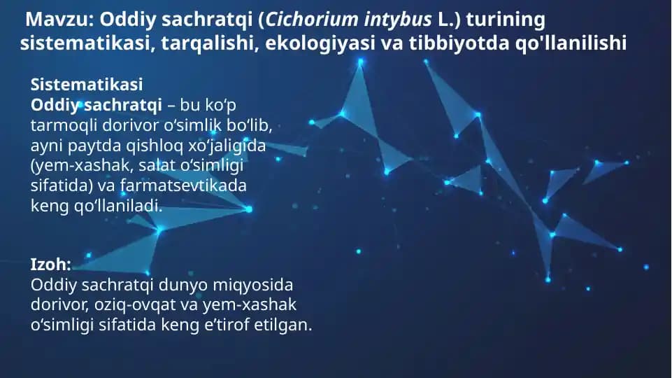 Oddiy sachratqi: Dorivor xususiyatlar va qo‘llanilishi
