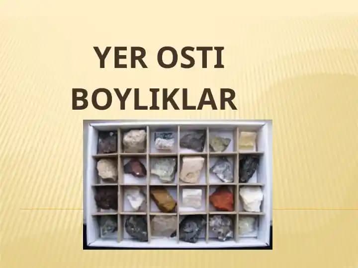 Yer osti boyliklari
