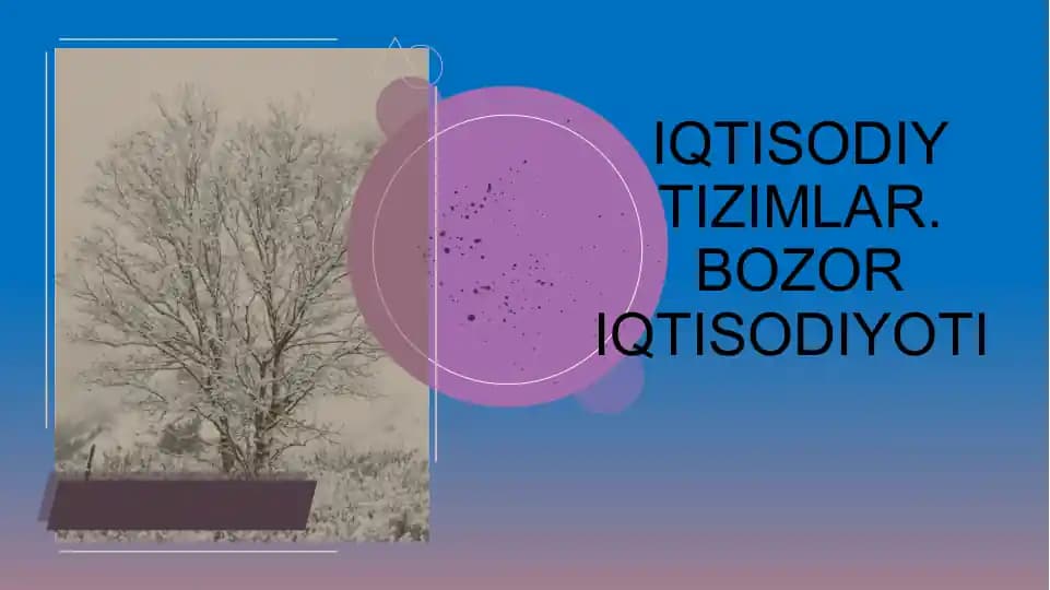 Iqtisodiy Tizimlar