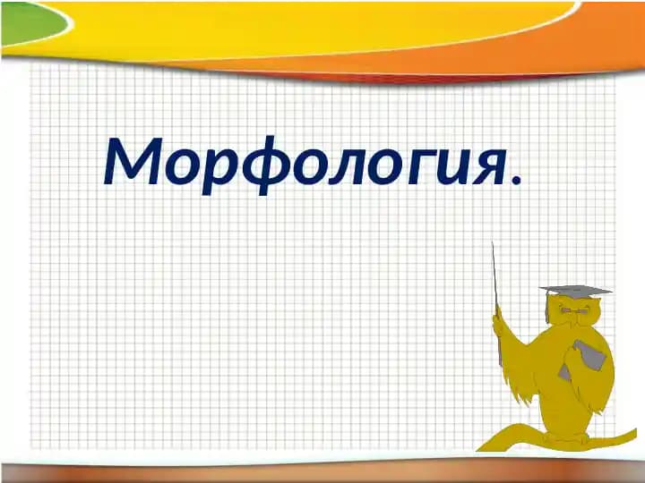 Морфология.