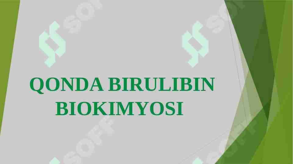 QONDA BIRULIBIN BIOKIMYOSI