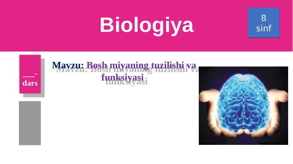 Bosh miyaning tuzilishi va funksiyasi