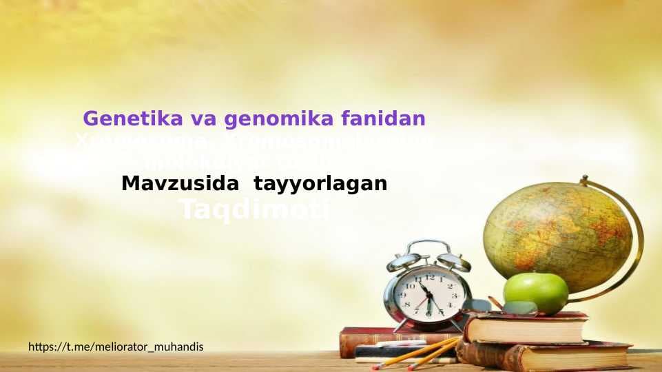 Xromosoma. Xromosomalarning molekulyar tuzilishi