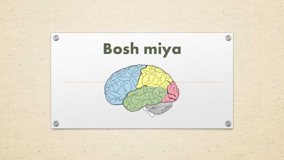 Bosh miya yarim sharlari