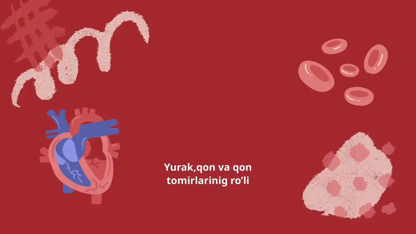 Qon aylanish tizimi