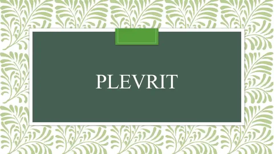 Plevrit