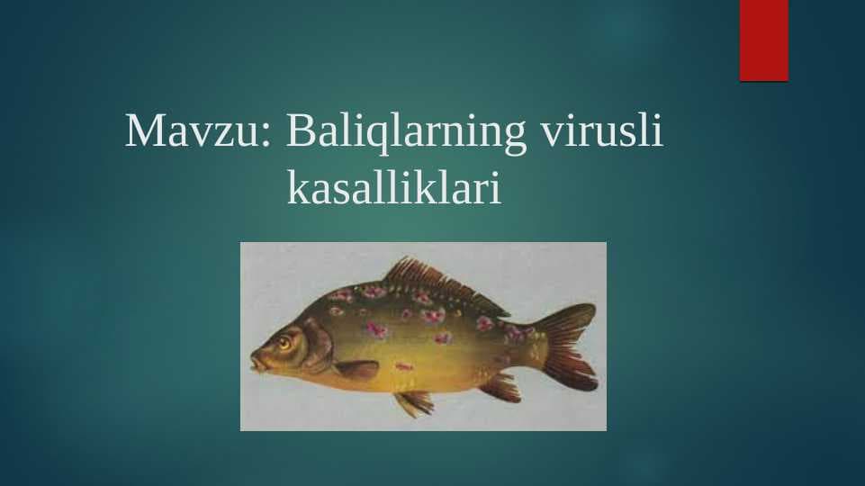 Baliqlarning virusli kasalliklari