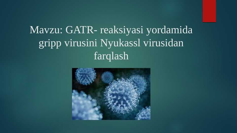 GATR- reaksiyasi yordamida gripp virusini Nyukassl virusidan farqlash