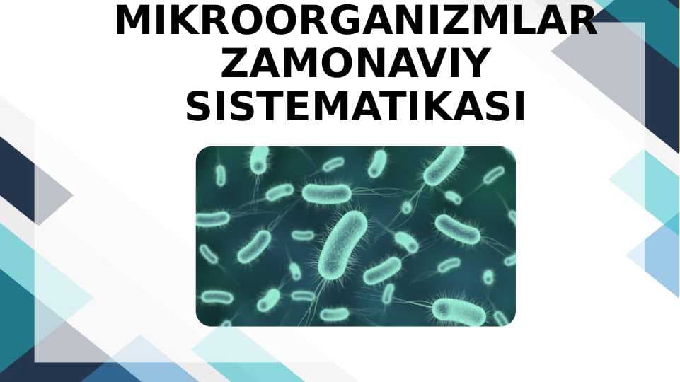 MIKROORGANIZMLAR Zamonaviy SISTEMATIKASI