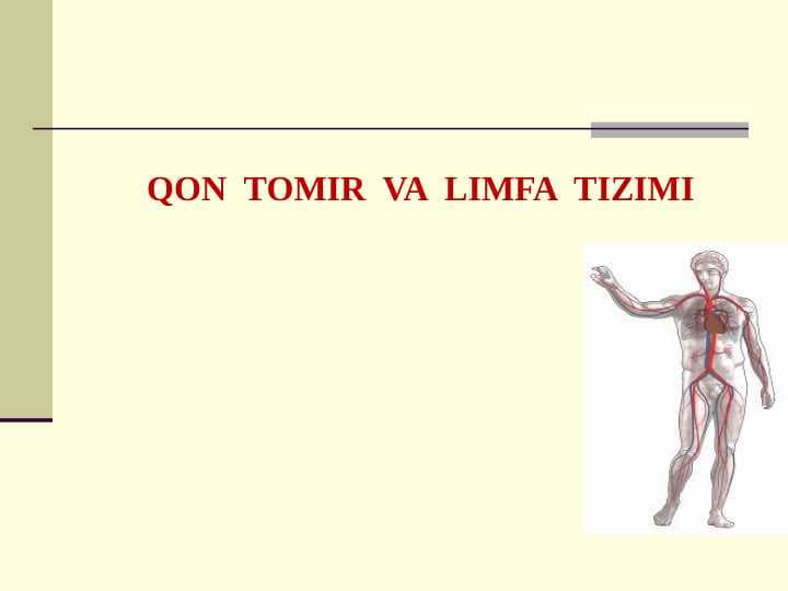 QON TOMIR VA LIMFA TIZIMI
