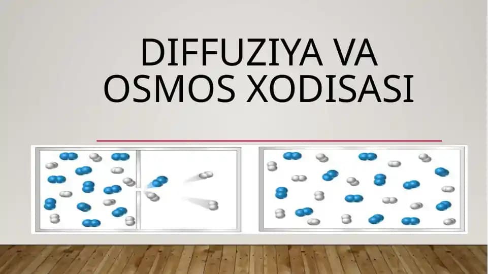 Diffuziya va osmos xodisasi haqida slayd