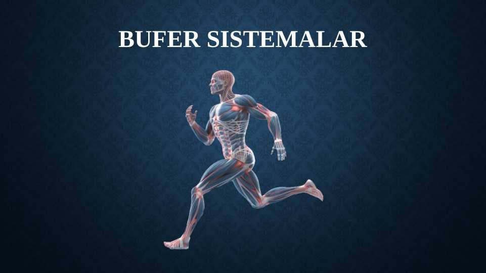BUFER SISTEMALAR