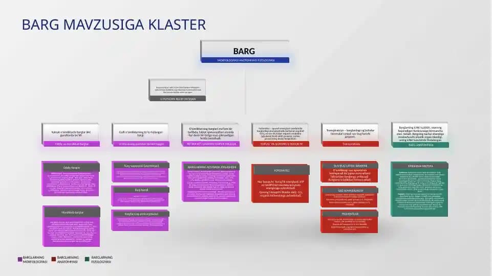 barg klaster