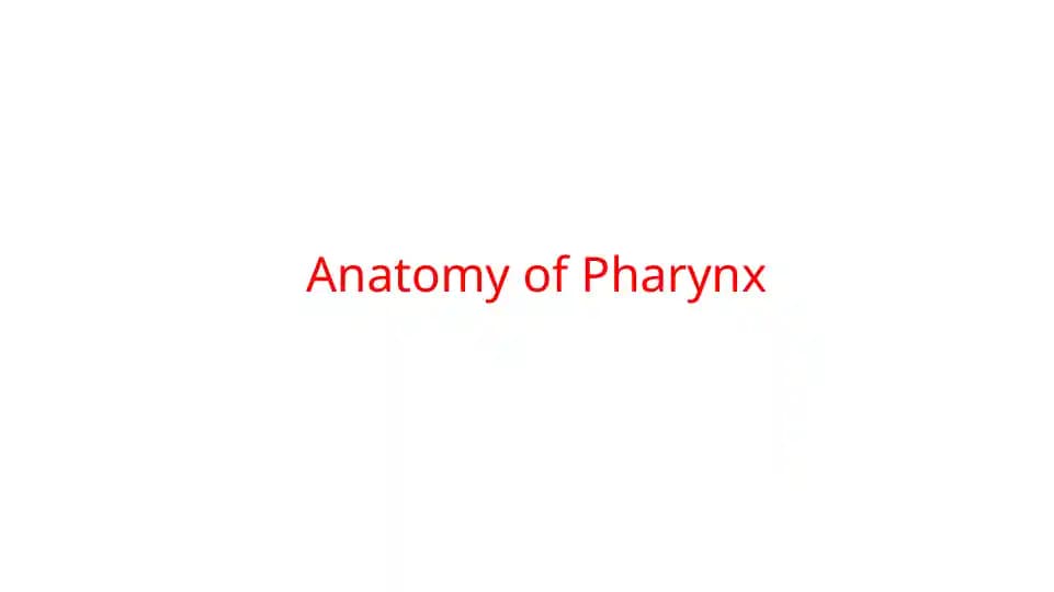 Pharynx