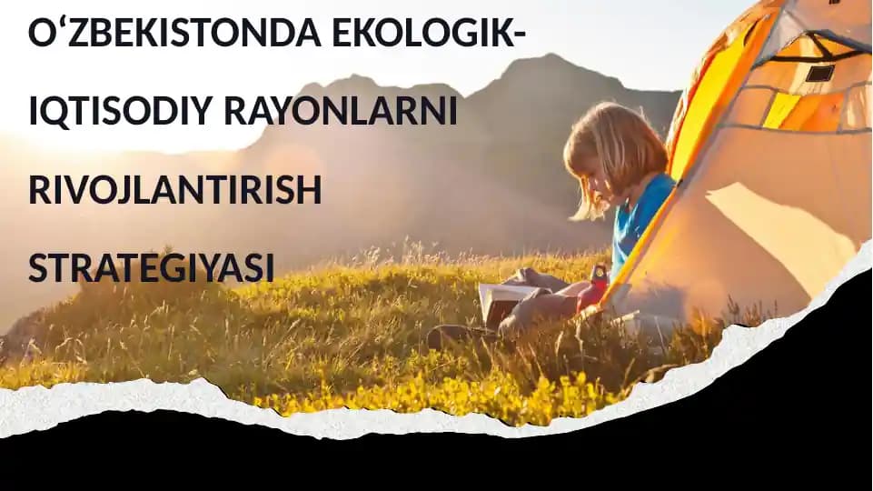 O‘ZBEKISTONDA EKOLOGIK-IQTISODIY RAYONLARNI RIVOJLANTIRISH STRATEGIYASI
