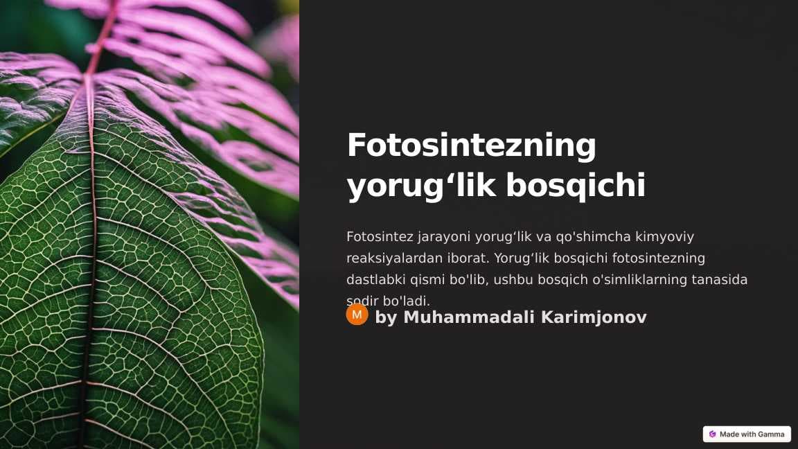 Fotosintezning yorugʻlik bosqichi