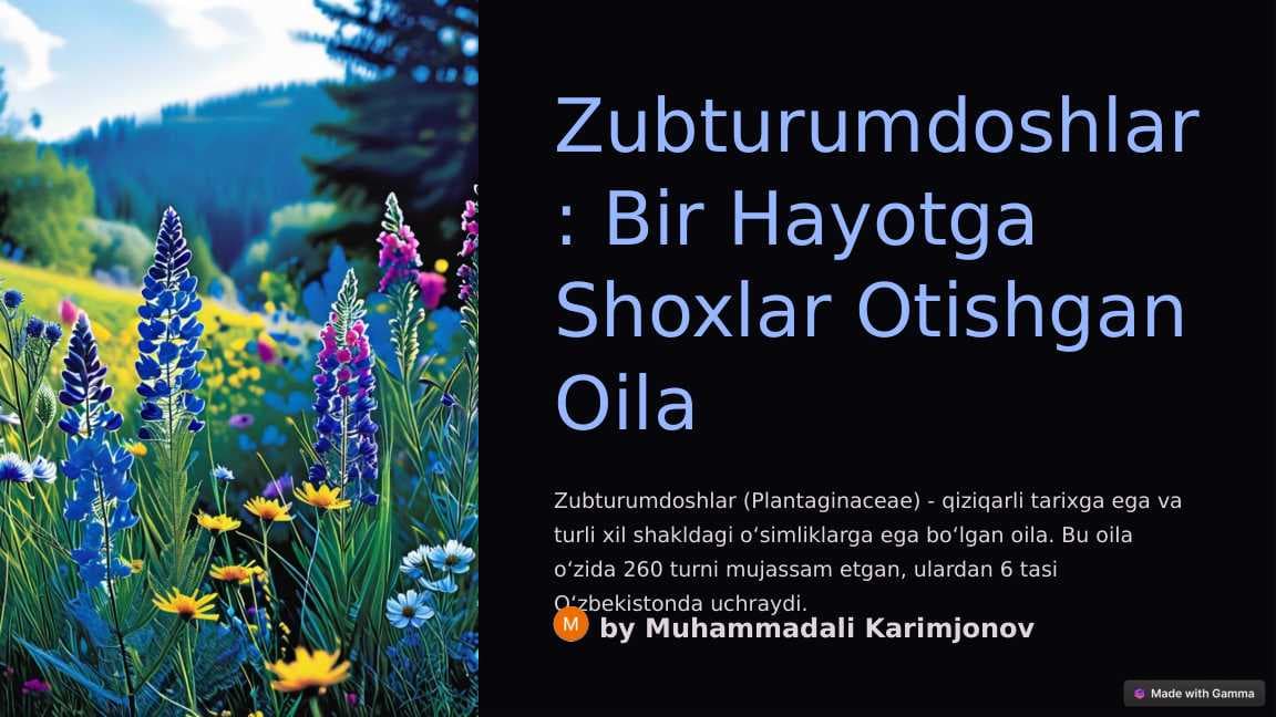 Zubturumdoshlar: Bir Hayotga Shoxlar Otishgan Oila