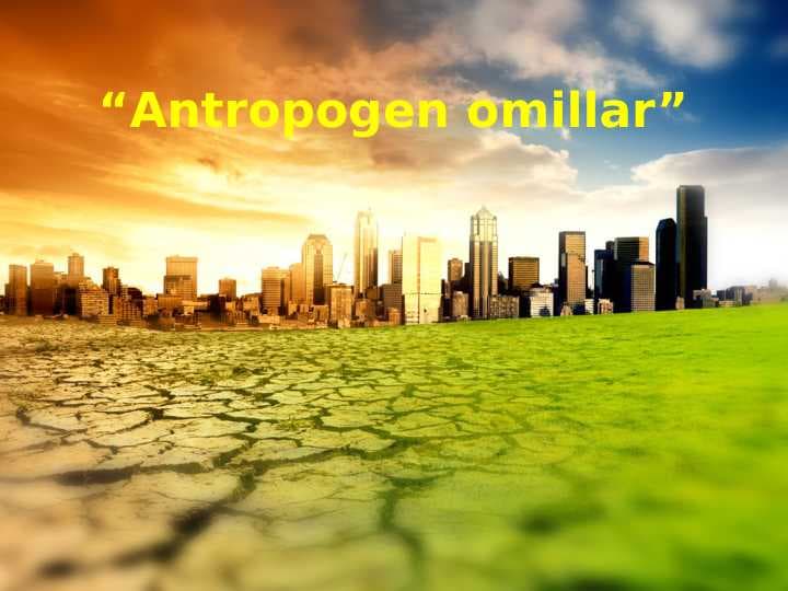 Biogeokimyoviy sikl