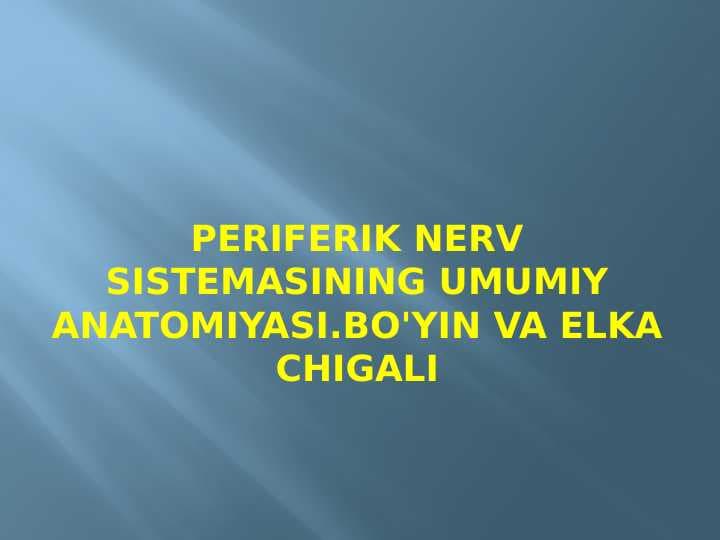 Periferik nerv sistemasining umumiy anatomiyasi. Bo'yin va yelka chigali
