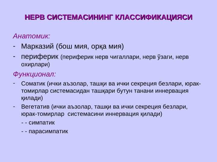 Nerv sistemasi taraqqiyoti va anatomik tuzilishi