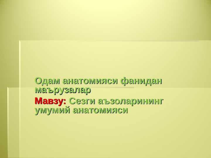 Sezgi azolarining umumiy anatomiyasi