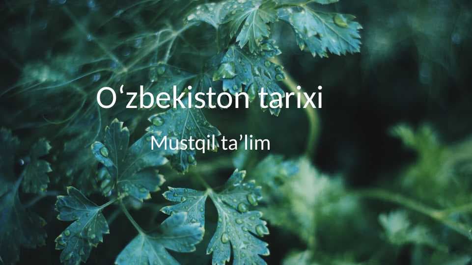 Zardushtiylik eʼtiqodi va Oʻrta Osiyo.Avesto