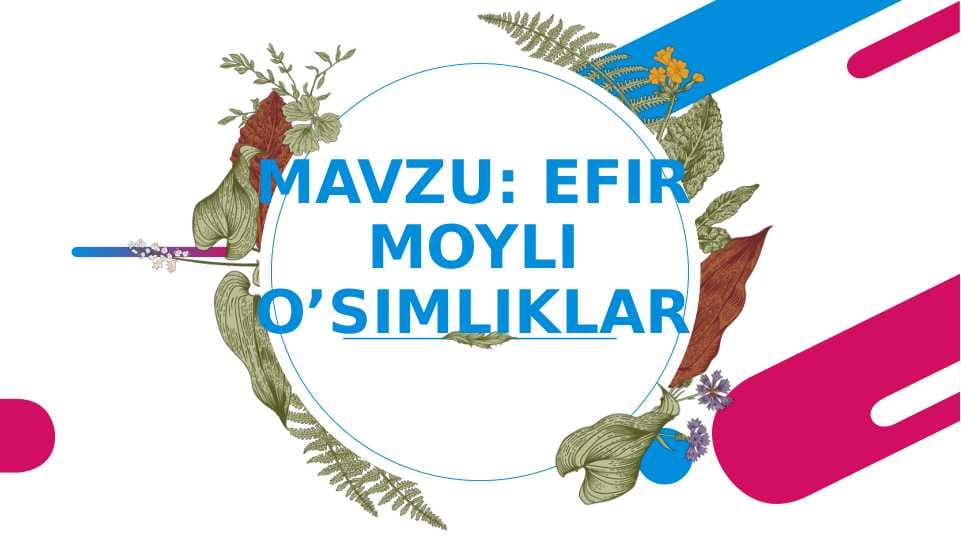 EFIR MOYLI O’SIMLIKLAR