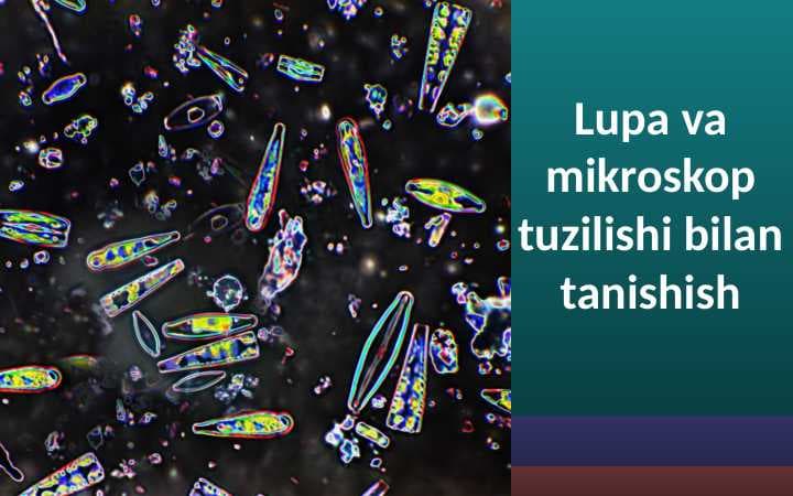 Lupa va mikroskop tuzilishi bilan tanishish