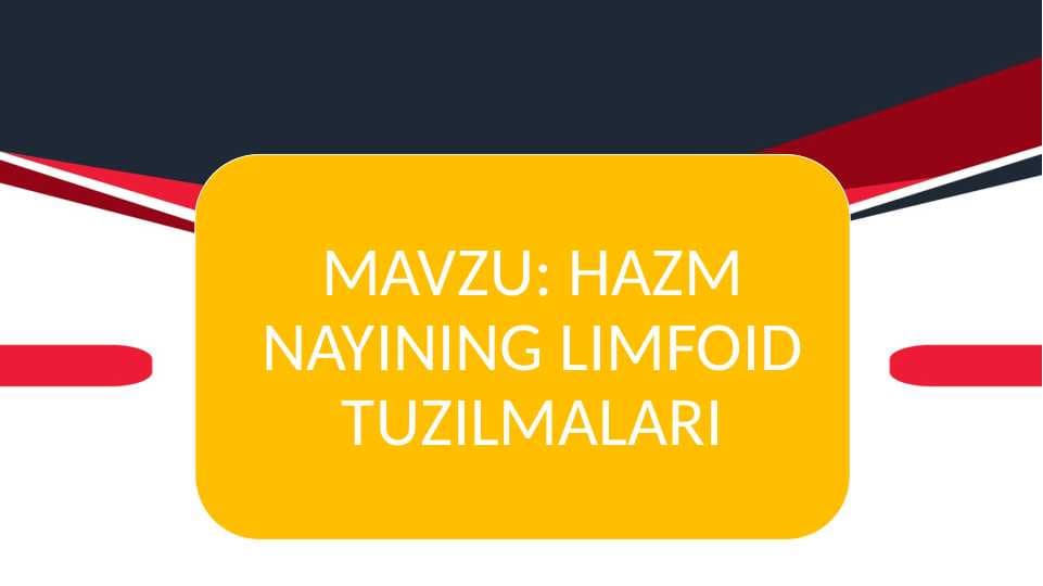 HAZM NAYINING LIMFOID TUZILMALARI