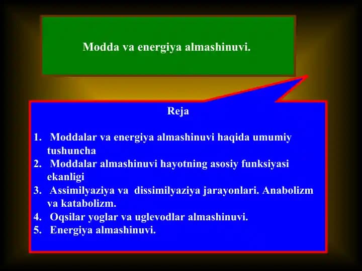 Modda va energiya almashinuvi