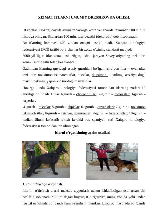 XIZMAT ITLARNI UMUMIY DRESSIROVKA QILISH